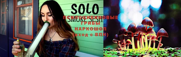 индика Баксан