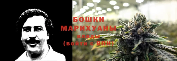 индика Баксан