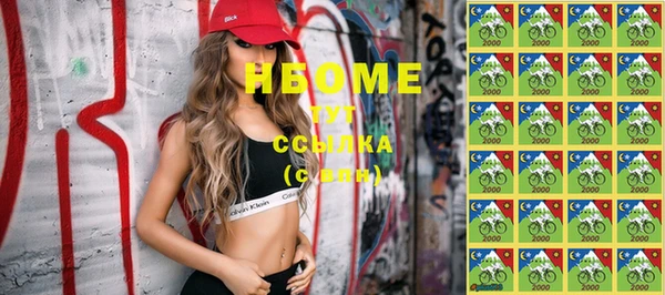 индика Баксан