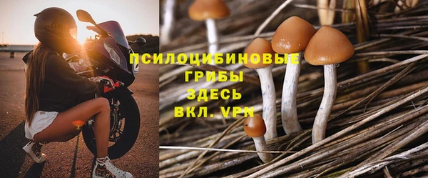 индика Баксан