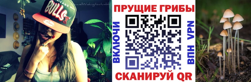Галлюциногенные грибы мицелий  хочу   Энем 
